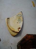 2004 Survey - Phase I

Sea Hunter III - Recovery

Plate Shard (floor tile, right)

from Seamen's/Firemen's Mess
